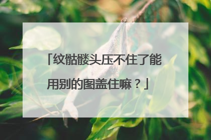 纹骷髅头压不住了能用别的图盖住嘛？