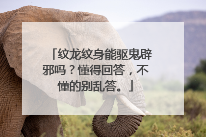纹龙纹身能驱鬼辟邪吗？懂得回答，不懂的别乱答。
