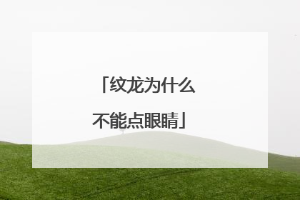 纹龙为什么不能点眼睛