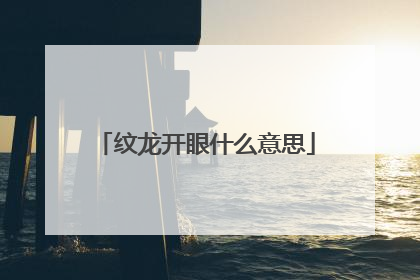 纹龙开眼什么意思