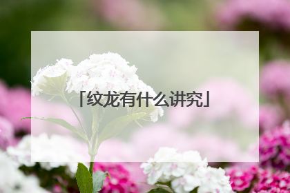 纹龙有什么讲究