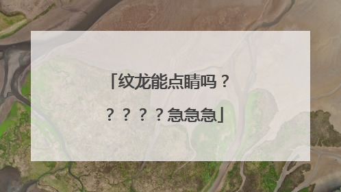 纹龙能点睛吗？？？？？急急急