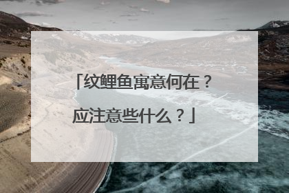 纹鲤鱼寓意何在？应注意些什么？