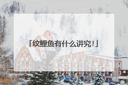 纹鲤鱼有什么讲究!