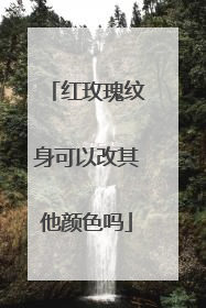 红玫瑰纹身可以改其他颜色吗