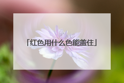 红色用什么色能盖住
