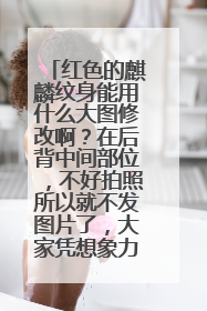 红色的麒麟纹身能用什么大图修改啊？在后背中间部位，不好拍照所以就不发图片了，大家凭想象力构思一下