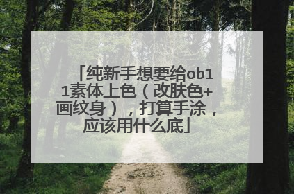 纯新手想要给ob11素体上色(改肤色+画纹身),打算手涂,应该用什么底