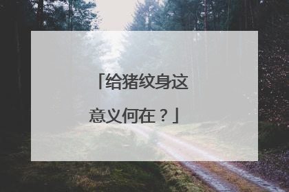 给猪纹身这意义何在？