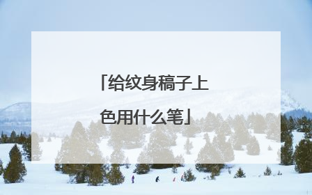 给纹身稿子上色用什么笔