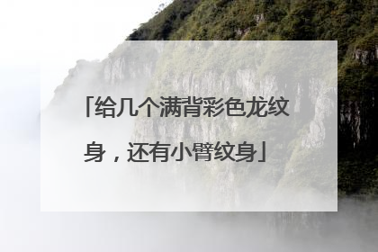 给几个满背彩色龙纹身，还有小臂纹身