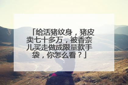 给活猪纹身，猪皮卖七十多万，被香奈儿买走做成限量款手袋，你怎么看？