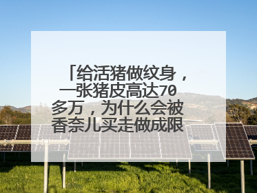 给活猪做纹身，一张猪皮高达70多万，为什么会被香奈儿买走做成限量包？