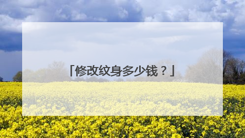 修改纹身多少钱？