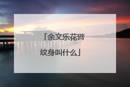 余文乐花臂纹身叫什么