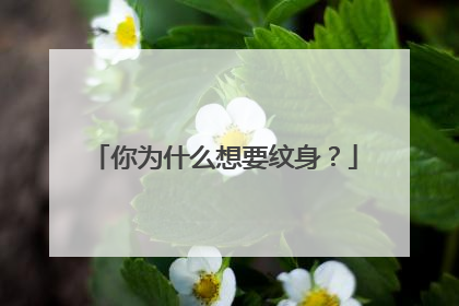 你为什么想要纹身？