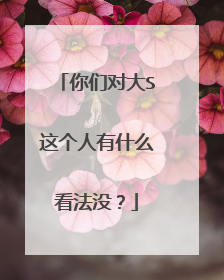 你们对大S这个人有什么看法没？