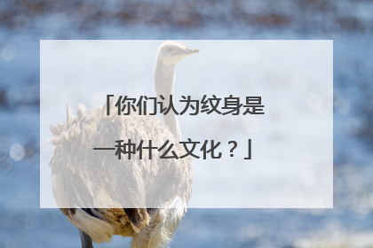 你们认为纹身是一种什么文化？