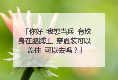 你好 我想当兵 有纹身在胳膊上 穿夏装可以盖住 可以去吗?