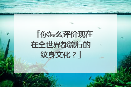 你怎么评价现在在全世界都流行的纹身文化?