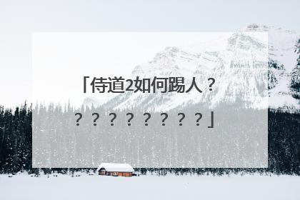 侍道2如何踢人？？？？？？？？？