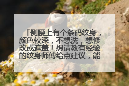 侧腰上有个条码纹身，颜色较深，不想洗，想修改或遮盖！想请教有经验的纹身师傅给点建议，能行我就直接去