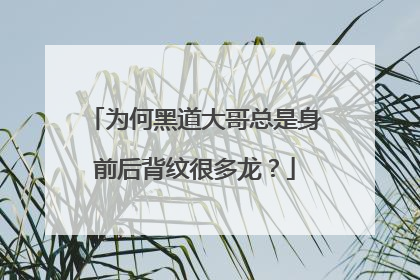 为何黑道大哥总是身前后背纹很多龙？