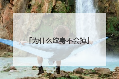 为什么纹身不会掉