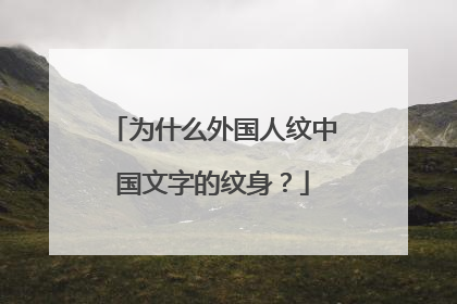 为什么外国人纹中国文字的纹身？