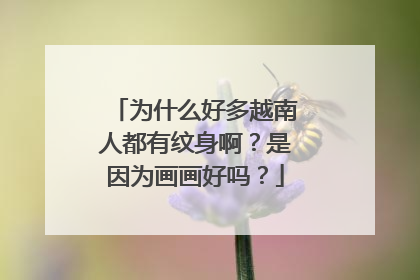 为什么好多越南人都有纹身啊？是因为画画好吗？