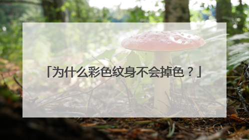 为什么彩色纹身不会掉色？