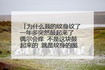为什么我的纹身纹了一年多突然鼓起来了 偶尔会痒 不是这块鼓起来的 就是纹身的图案纹路鼓起来了，
