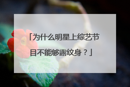 为什么明星上综艺节目不能够露纹身?