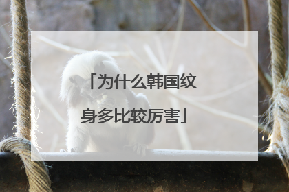 为什么韩国纹身多比较厉害