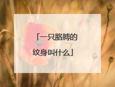 一只胳膊的纹身叫什么