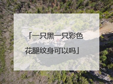 一只黑一只彩色花腿纹身可以吗