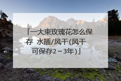 一大束玫瑰花怎么保存 水插/风干(风干可保存2～3年)