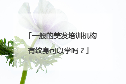 一般的美发培训机构有纹身可以学吗？
