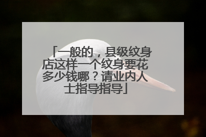 一般的，县级纹身店这样一个纹身要花多少钱哪？请业内人士指导指导