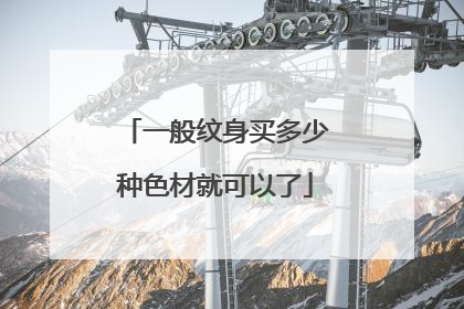 一般纹身买多少种色材就可以了