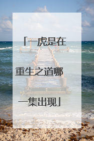 一虎是在重生之道哪一集出现