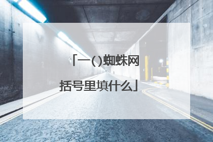 一()蜘蛛网括号里填什么