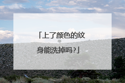 上了颜色的纹身能洗掉吗?