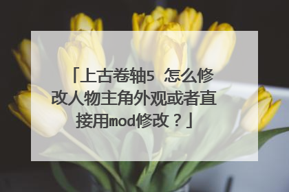 上古卷轴5 怎么修改人物主角外观或者直接用mod修改？