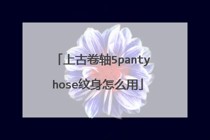 上古卷轴5pantyhose纹身怎么用