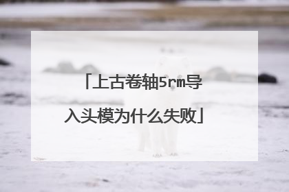 上古卷轴5rm导入头模为什么失败