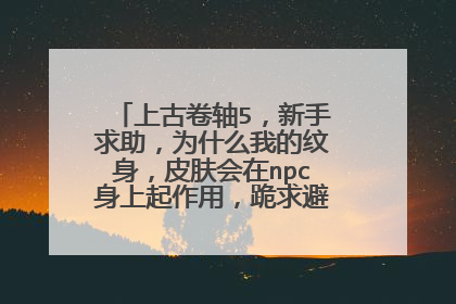 上古卷轴5，新手求助，为什么我的纹身，皮肤会在npc身上起作用，跪求避免的办法，跪求啊