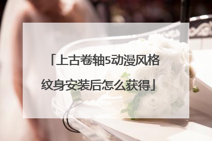 上古卷轴5动漫风格纹身安装后怎么获得