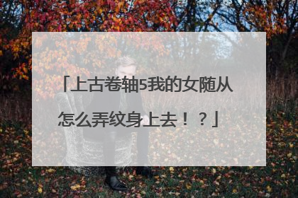上古卷轴5我的女随从怎么弄纹身上去!?