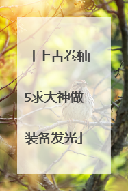 上古卷轴5求大神做装备发光